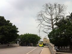 -柯尼希湖