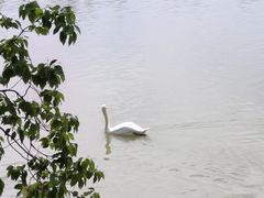 -艾溪湖湿地公园