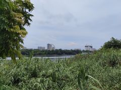 -南宁南湖公园