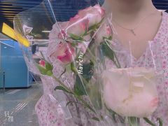 -大龙山(地铁站)