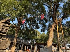 -宁波溪口古镇-民国大杂院