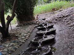 -成都市活水公园