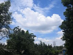-观澜山水田园