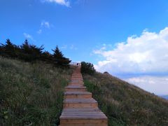 -白草畔自然风景区