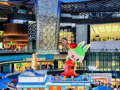 -泡泡玛特POPMART(天环购物中心店)