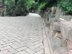 -花溪公园