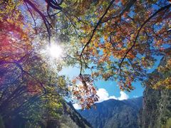 -叠溪松坪沟景区