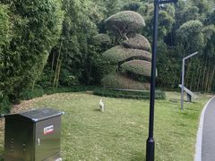 -苏州河梦清园环保主题公园