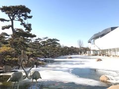 -罗红摄影艺术馆