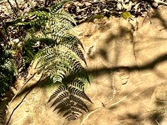 -宝岩生态观光园