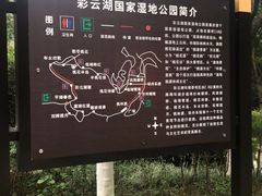 -重庆彩云湖湿地公园