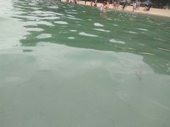 -东姑阿都拉曼海洋公园