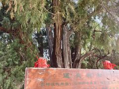 -四门塔风景区
