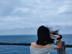 -广东惠东海龟国家级自然保护区