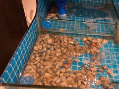 -龙岩佰翔京华酒店(京华购物中心店)