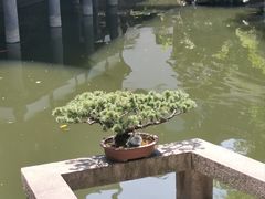 -豫园