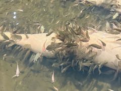 -溧阳天目湖天沐温泉