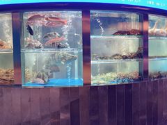-1718海鲜姿造(苏宁宴请臻选店)