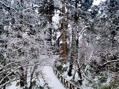 -龙苍沟森林公园