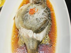 -毗陵醉·黑钻(湖塘店)