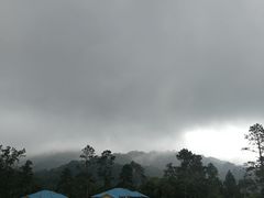 -海南热带雨林国家公园吊罗山景区