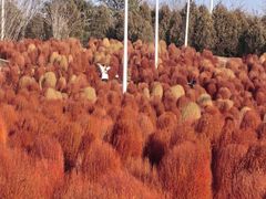 -沈阳植物园