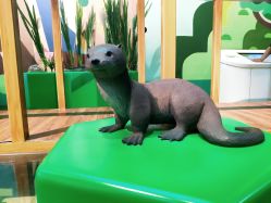 -北京科学中心儿童乐园