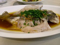 清蒸鲈鱼-贵宾楼·横滋味餐厅