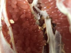 -永辉超市(嘉定宝龙广场店)