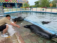 -北戴河圣蓝海洋公园