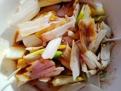 -食家鸽园