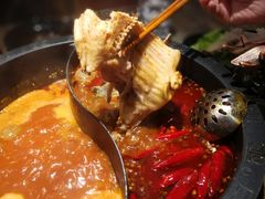 -销魂美蛙鱼头火锅(上海首店)