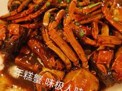 -新镇江酒家(南京西路店)