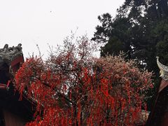 -七曲山风景区