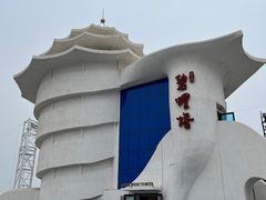 -北戴河碧螺塔海上酒吧公园