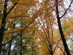 -面爱面(长椿街店)