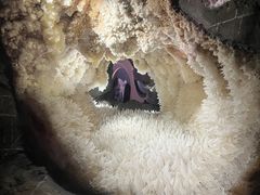 -湖南省地质博物馆