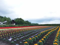 -富田农场