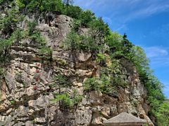 -青峰峡国家森林公园