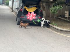 -春涛餐馆(下坝店)