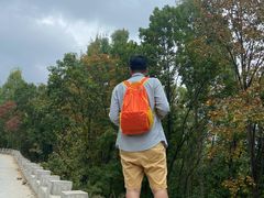 -白草畔自然风景区