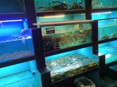 -曾牛土菜(捷瑞达店)