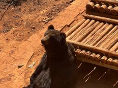 -昆明动物园