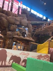 -卡通尼·Safari非洲探索乐园·生日会(金桥国际商业广场店)