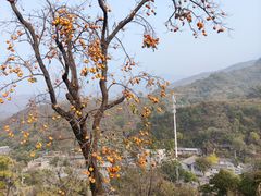 -水峪民俗村