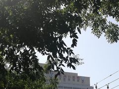 -首都医科大学附属北京同仁医院(西区)