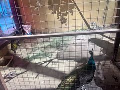 -老阿爸江浙土菜(前进东路店)