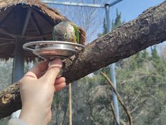 -红山森林动物园