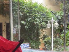 -金河半岛园林酒家(金融城店)