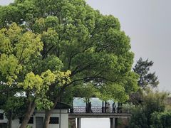 -无锡蠡湖国家湿地公园-蠡园